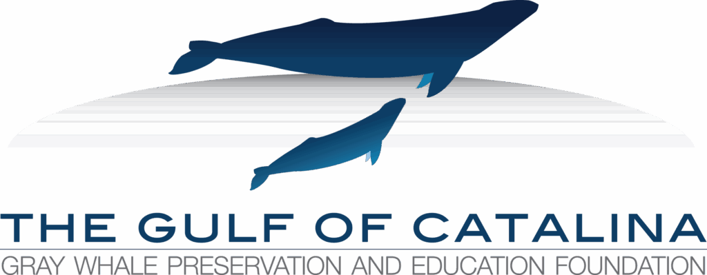 Gray Whale Foundation